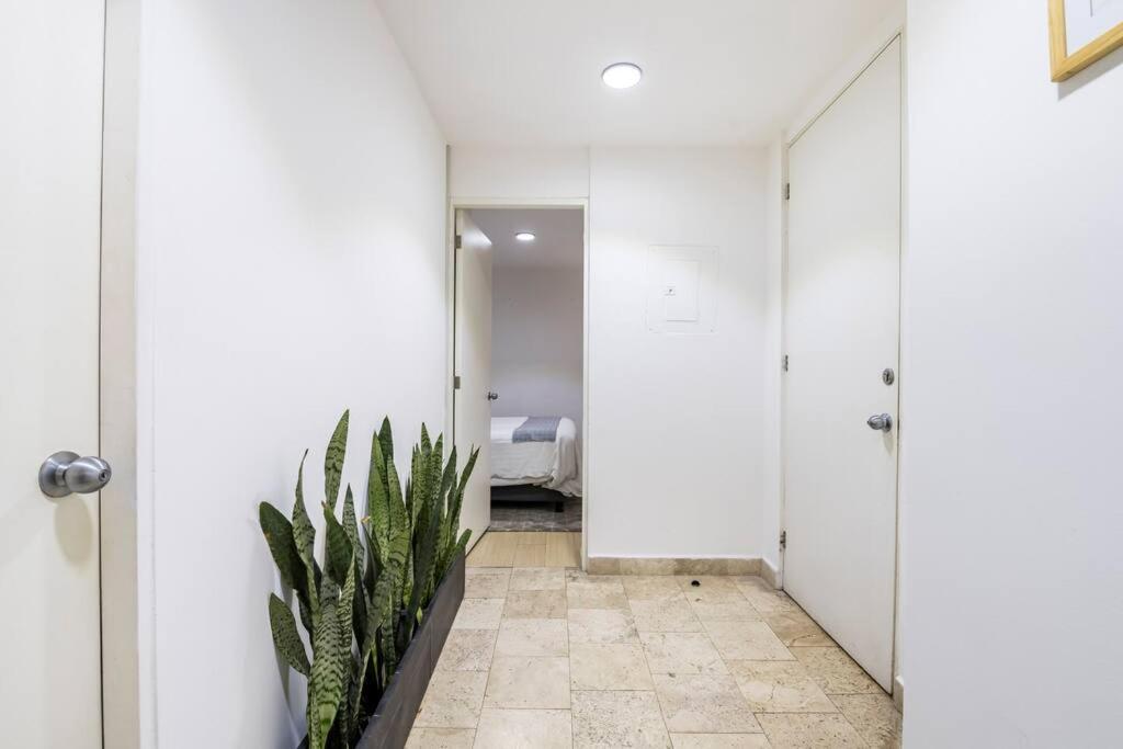 Loft Donceles 6 Cdmx! Lägenhet Mexico City Exteriör bild